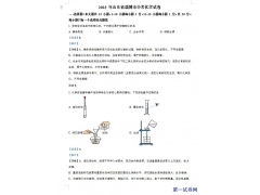 山东省淄博市2023年中考化学真题（解析版）